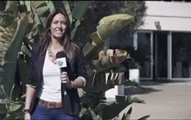 Video Corporativo 2014 Montemar