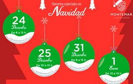 Horario por Navidad