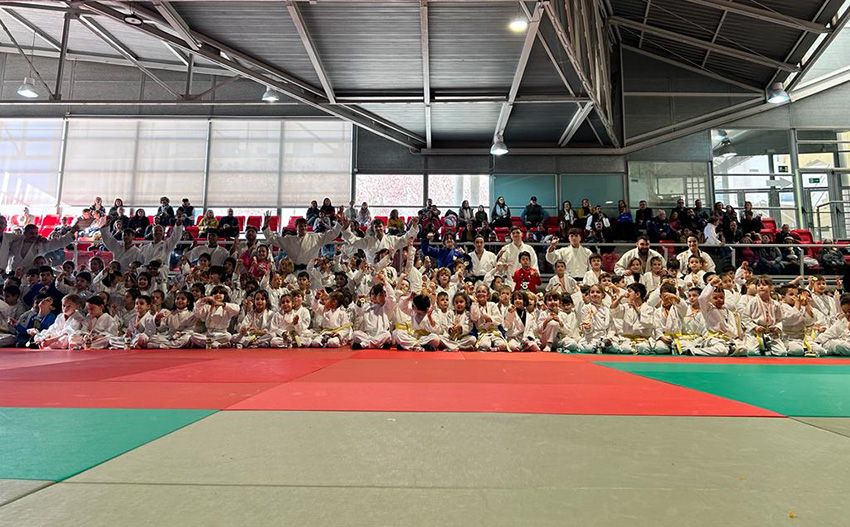Festival solidario de la escuela de Judo Isabel Fernández