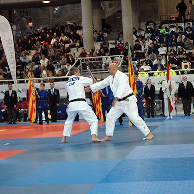 Supercopa de España de Judo «Isabel Fernández»