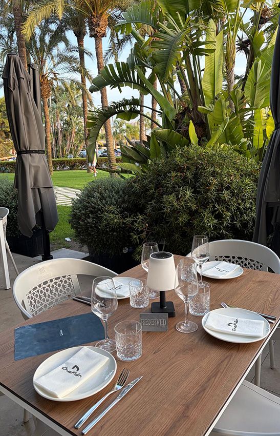 cena de verano en montemar